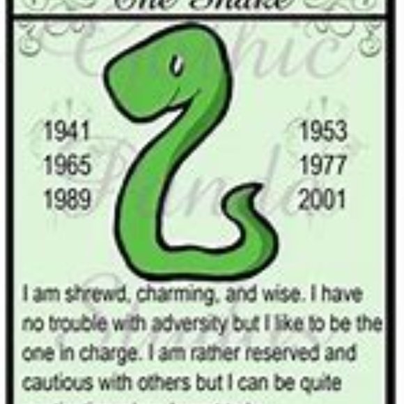 Hand Crafted Jewelry Chinese Zodiac Year Of The Snake Poshmark